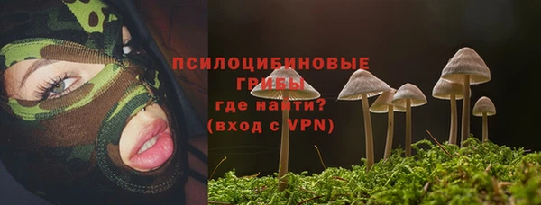 спиды Армянск