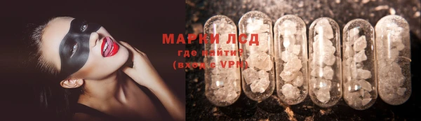 прущие грибы Арсеньев