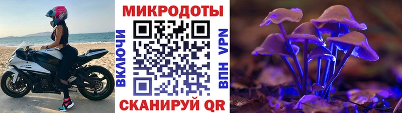 хочу   Оха  Псилоцибиновые грибы мицелий 